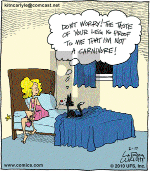 Kit 'N' Carlyle on Wednesday February 17, 2010 Comic Strip