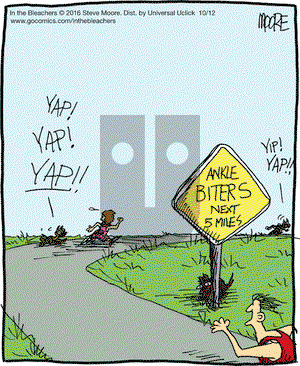 In the Bleachers on Wednesday October 12, 2016 Comic Strip