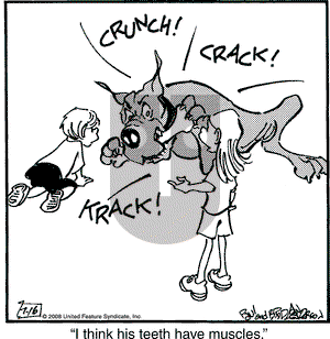 Marmaduke on Wednesday July 16, 2008 Comic Strip