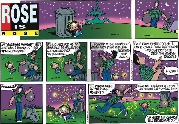 Rose is Rose on Sunday June 8, 2014 Comic Strip