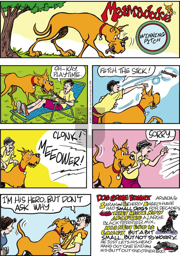 Marmaduke on Sunday January 10, 2016 Comic Strip