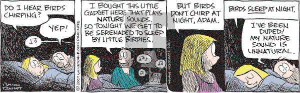 Adam@Home on Monday November 12, 2007 Comic Strip