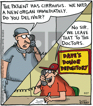 The Argyle Sweater on Tuesday August 27, 2019 Comic Strip