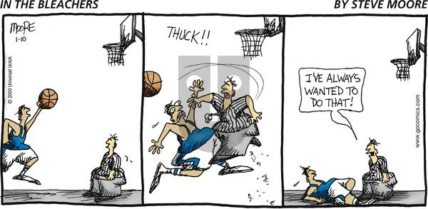 In the Bleachers on Sunday January 10, 2010 Comic Strip