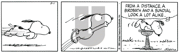 Peanuts on Saturday May 1, 1993 Comic Strip