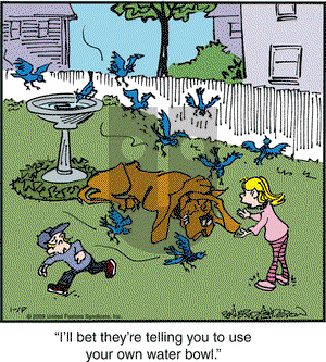 Marmaduke on Monday January 19, 2009 Comic Strip