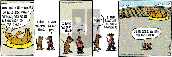 Overboard on Friday September 4, 2009 Comic Strip