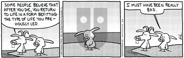 Pearls Before Swine on Saturday August 3, 2002 Comic Strip