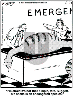 Close to Home on Wednesday June 23, 2004 Comic Strip