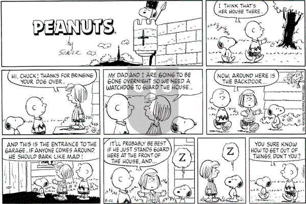 Peanuts - Sunday August 22, 1993 Comic Strip