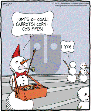 In the Bleachers on Friday December 5, 2025 Comic Strip