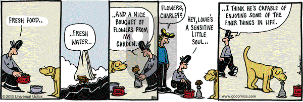 Overboard on Saturday August 31, 2013 Comic Strip