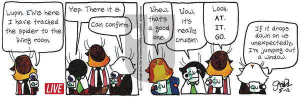 Breaking Cat News on Tuesday May 12, 2020 Comic Strip