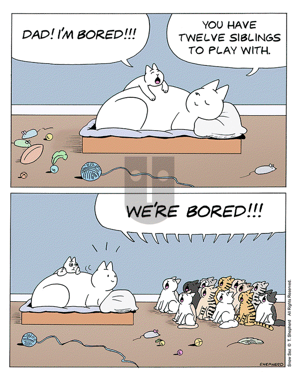 Snow Sez on Monday March 31, 2025 Comic Strip