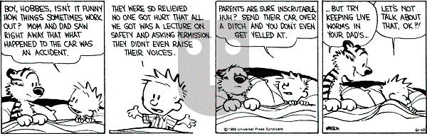 Calvin and Hobbes - Saturday June 10, 1989 Comic Strip