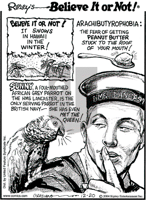 Ripley's Believe It or Not on Monday December 20, 2004 Comic Strip