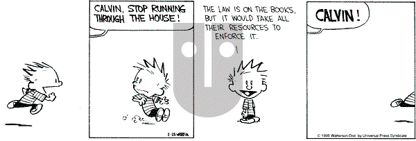 Calvin and Hobbes - Saturday February 25, 1995 Comic Strip