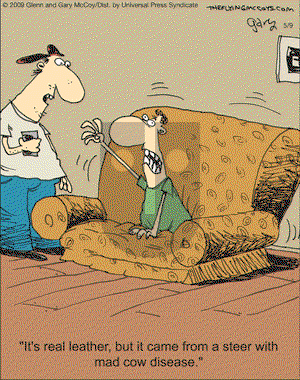 The Flying McCoys on Saturday May 9, 2009 Comic Strip
