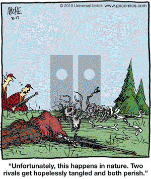 In the Bleachers on Wednesday March 17, 2010 Comic Strip