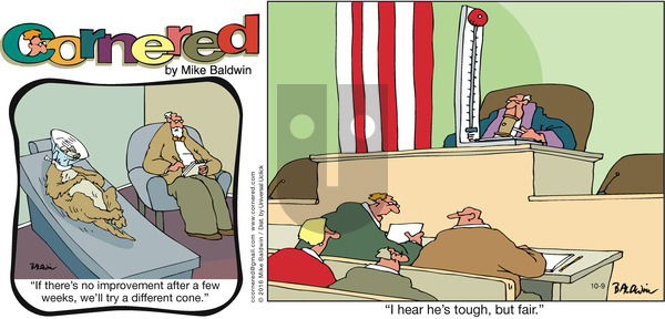 Cornered on Sunday October 9, 2016 Comic Strip