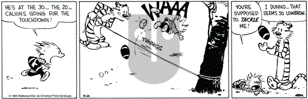 Calvin and Hobbes on Tuesday October 24, 1995 Comic Strip