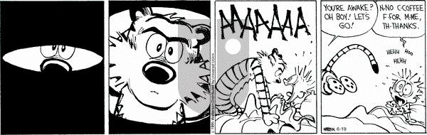 Calvin and Hobbes on Friday June 19, 2015 Comic Strip