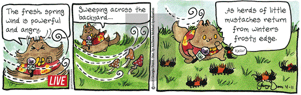 Breaking Cat News on Wednesday April 11, 2018 Comic Strip