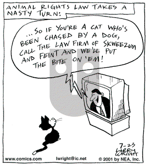 Kit 'N' Carlyle on Monday July 23, 2001 Comic Strip