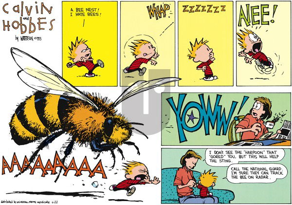 Calvin and Hobbes on Sunday August 8, 1993 Comic Strip