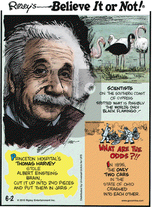 Ripley's Believe It or Not on Tuesday June 2, 2015 Comic Strip
