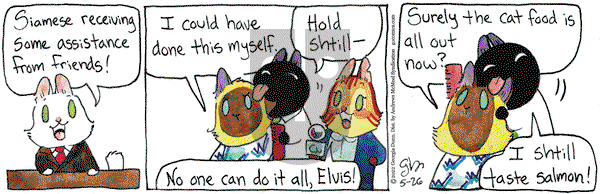 Breaking Cat News - Thursday May 26, 2022 Comic Strip