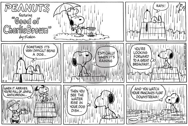 Peanuts on Sunday April 2, 1978 Comic Strip