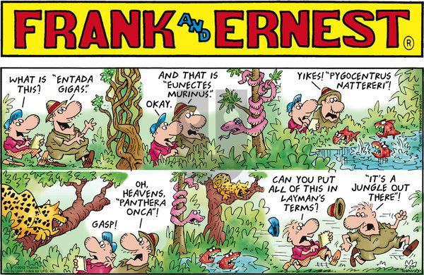 Frank and Ernest on Sunday July 29, 2012 Comic Strip
