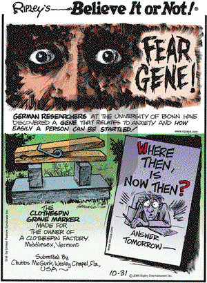Ripley's Believe It or Not on Friday October 31, 2008 Comic Strip