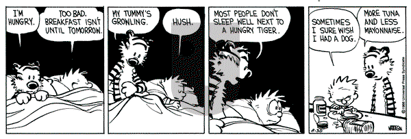Calvin and Hobbes on Tuesday August 30, 1988 Comic Strip