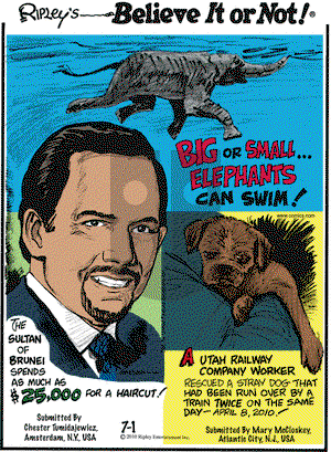 Ripley's Believe It or Not on Thursday July 1, 2010 Comic Strip