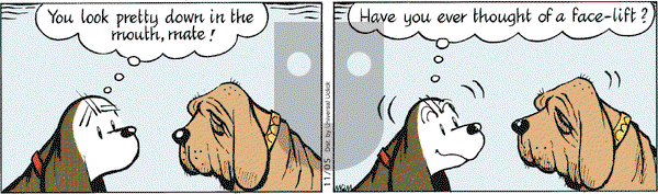 Fred Basset on Saturday November 5, 2011 Comic Strip