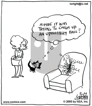 Kit 'N' Carlyle on Wednesday August 24, 2005 Comic Strip