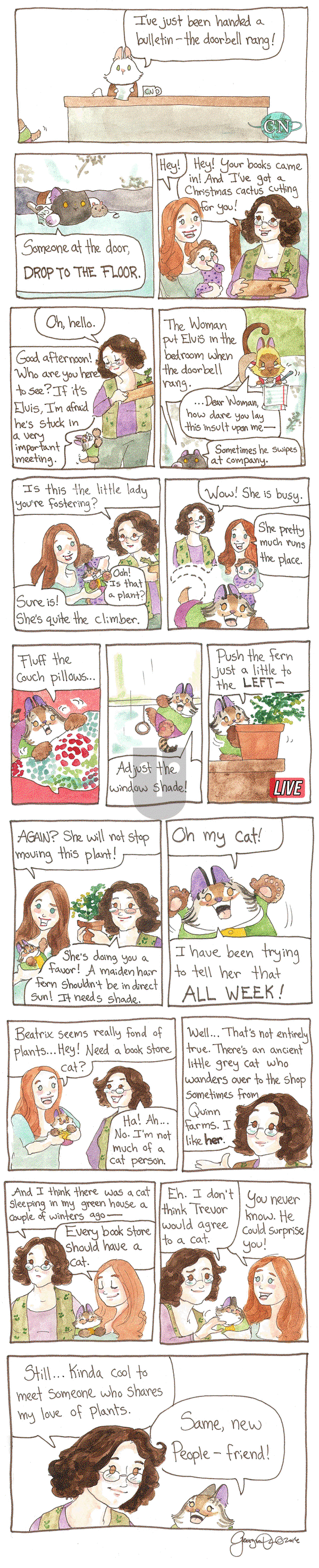 Breaking Cat News on Saturday March 4, 2017 Comic Strip