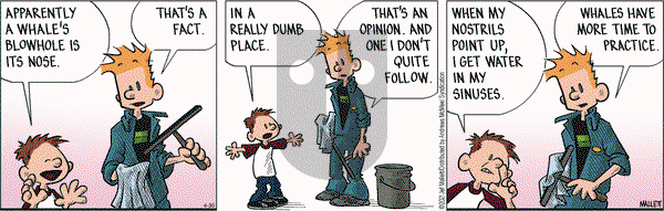Frazz on Wednesday April 30, 2025 Comic Strip