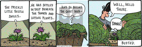 Overboard on Thursday August 8, 2019 Comic Strip