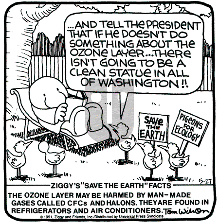 Ziggy - Monday May 27, 1991 Comic Strip
