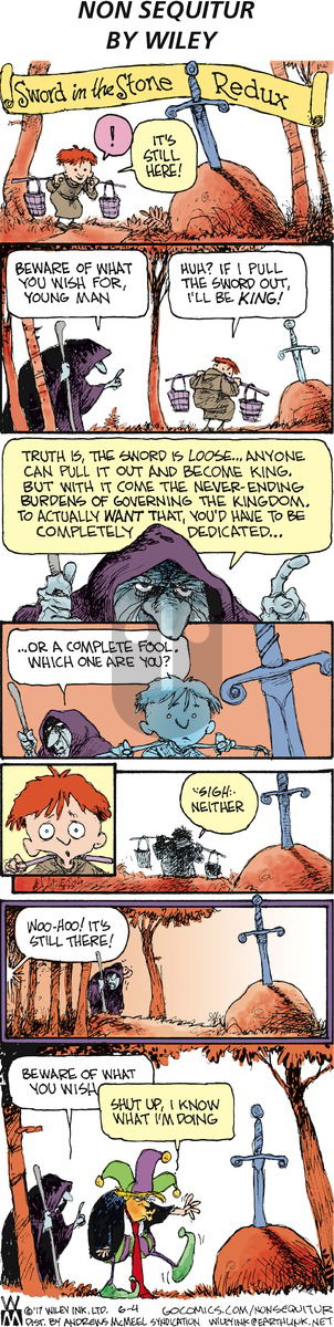 Non Sequitur - Sunday June 4, 2017 Comic Strip