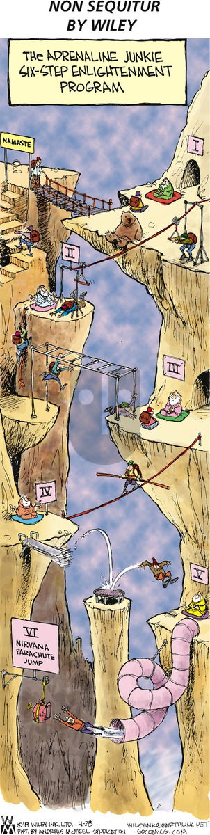 Non Sequitur on Sunday April 28, 2019 Comic Strip