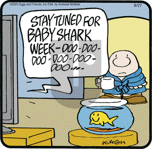 Ziggy on Saturday September 27, 2025 Comic Strip