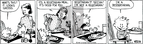 Calvin and Hobbes - Saturday May 9, 1987 Comic Strip
