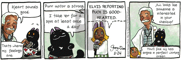 Breaking Cat News on Thursday August 24, 2017 Comic Strip