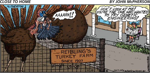 Close to Home on Sunday November 19, 2017 Comic Strip