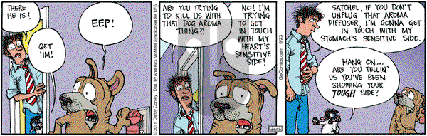 Get Fuzzy - Saturday September 23, 2023 Comic Strip