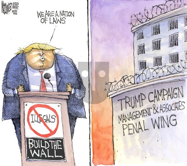 Matt Davies on Sunday January 13, 2019 Comic Strip